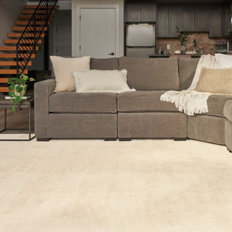 Apartment living room area with a solid ivory rug, chenille sofa and textured pillows