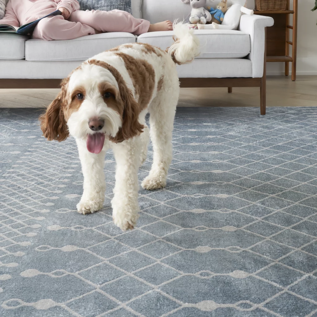 Brown and white dog standing on Nourison Astra ASW10 Blue area rug in a cozy living room with a child reading on the sofa in the background