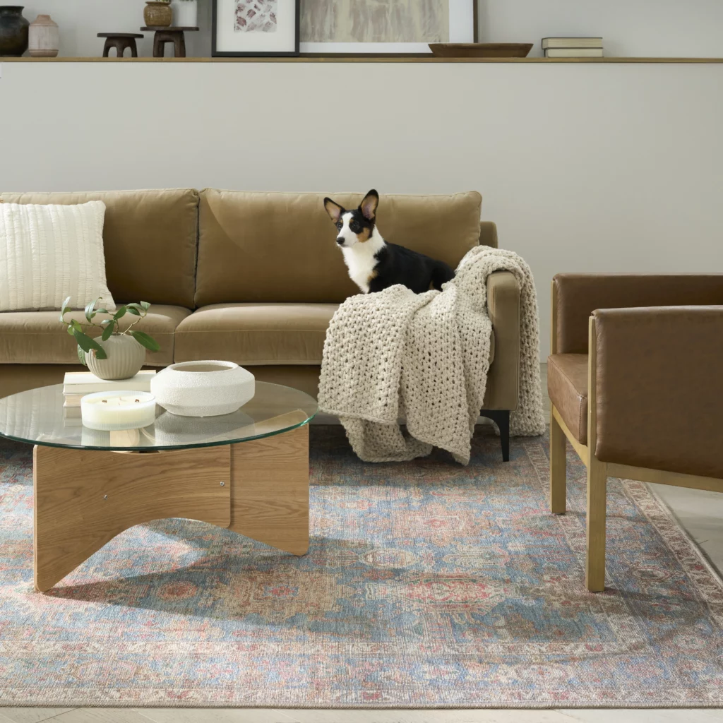 Dog sitting on a tan leather sofa above a Nourison Vintage Washable rug in navy multicolor, featuring a faded traditional medallion pattern in a modern living room.
